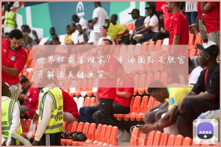 世界杯花落谁家？专访国际足联官员解读关键决策