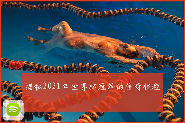 揭秘2021年世界杯冠军的传奇征程