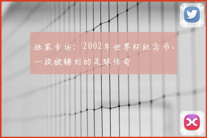 独家专访：2002年世界杯纪念币，一段被铸刻的足球传奇