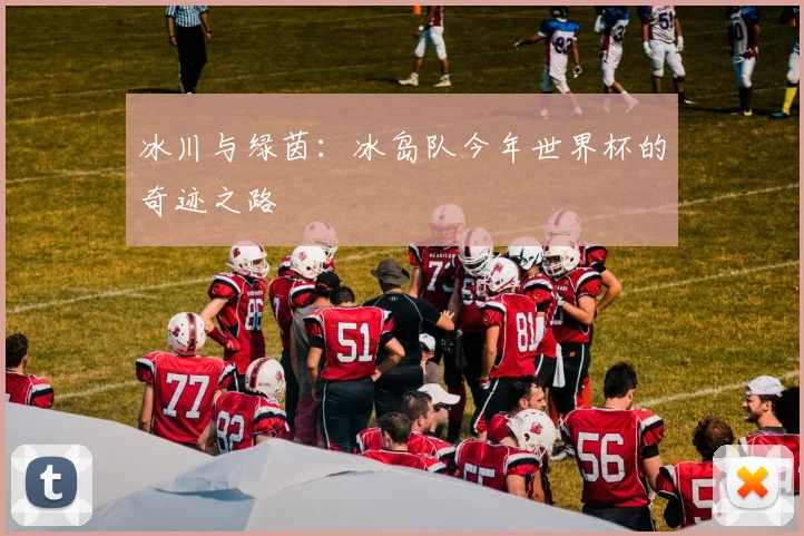 冰川与绿茵：冰岛队今年世界杯的奇迹之路