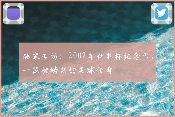 独家专访：2002年世界杯纪念币，一段被铸刻的足球传奇