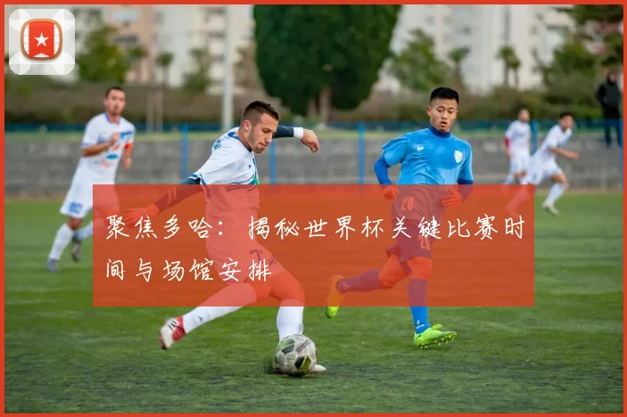 聚焦多哈：揭秘世界杯关键比赛时间与场馆安排