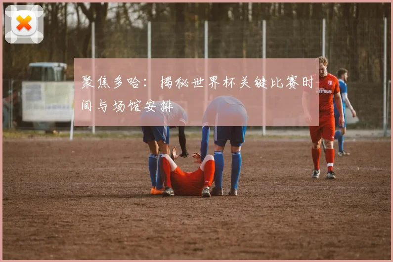 聚焦多哈：揭秘世界杯关键比赛时间与场馆安排